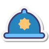 cat-icon1